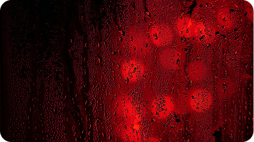 Microsoft SQL Server backup technical guide